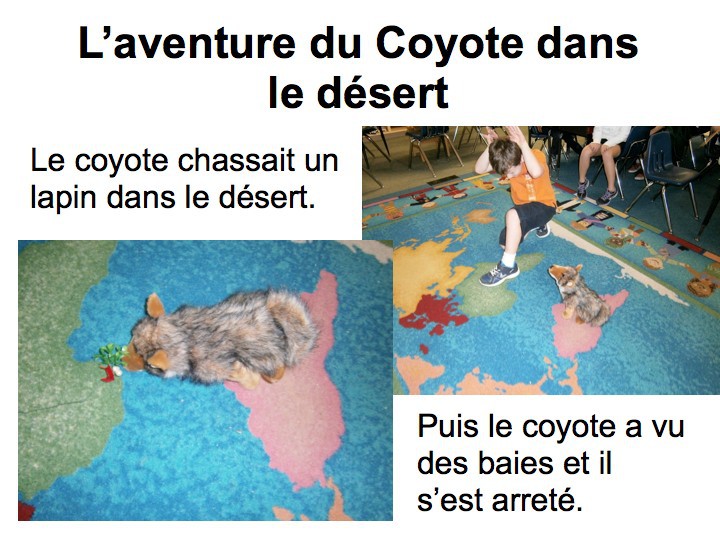 Coyote-fr.001