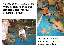 index.005